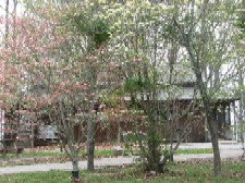 Elsie A. Holmes Nature Park